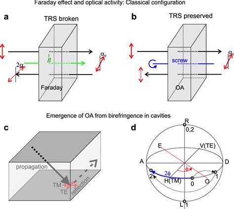 Faraday Effect And Optical Activity Scheme Showing The Rotation α0 Of