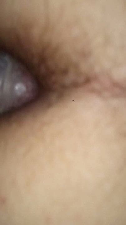 Anal Novi Sad Free Anal HD Porn Video XHamster
