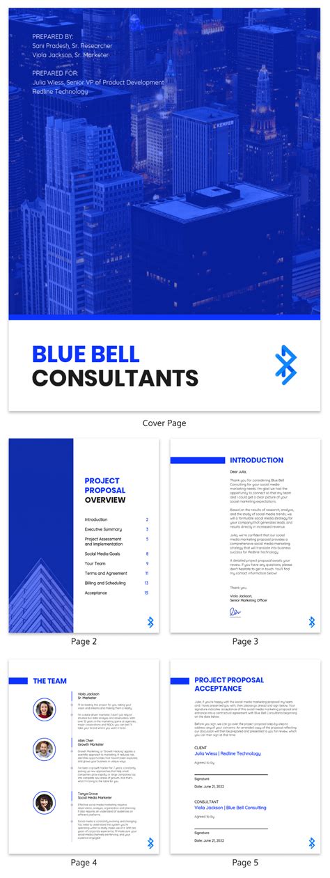 Blue Color Social Media Consulting Proposal Template Venngage