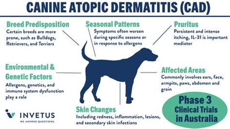 Canine Atopic Dermatitis — Invetus