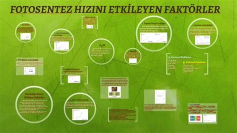 Fotosentez Hızını Etkileyen Faktörler by Busenur Tuncer on Prezi