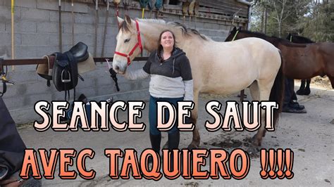 Je reprends l équitation Cours de Saut avec Taquiero YouTube