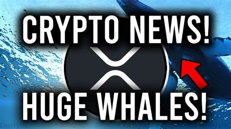 Ripple Xrp Huge Transfers New Million Fund For Nfts Huge Whale