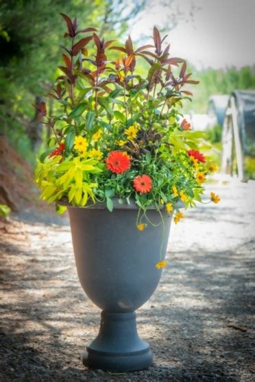 Landscape Container Gardens Merrifield Garden Center