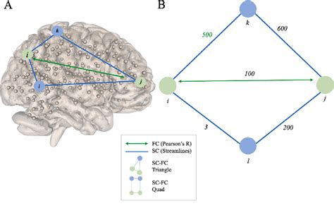 Figure From Structural Functional Connectivity Bandwidth Predicts