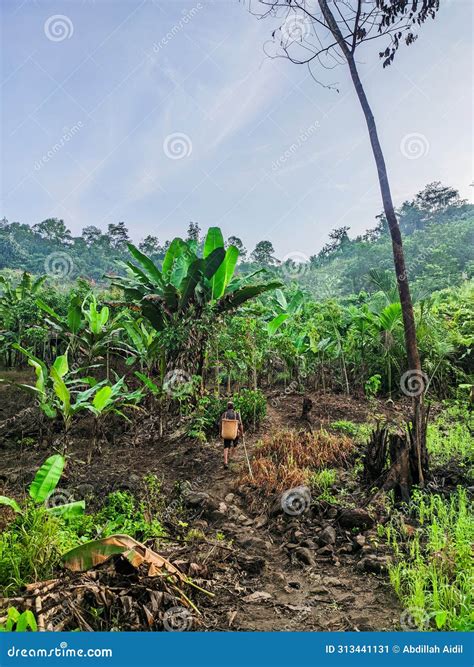 Morning Atmosphere in a Remote Village on the Island of Kalimantan