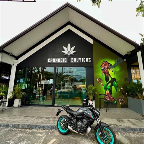 Lv Cannabis Boutique Cannabis Store In Bang Tao Phuket In Phuket