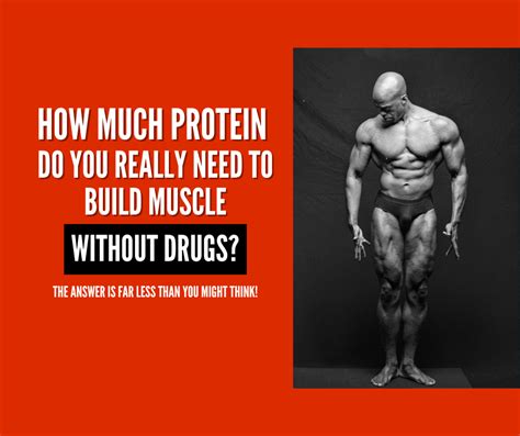 How Much Protein Do You Need To Build Muscle Without Drugs