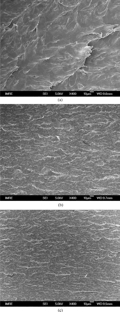 SEM Micrographs Of Fracture Surfaces Of Nylon 66 With A 0 Wt B 1