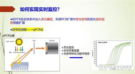 荧光定量PCR的基本原理染料法 TaqMan探针法 知乎