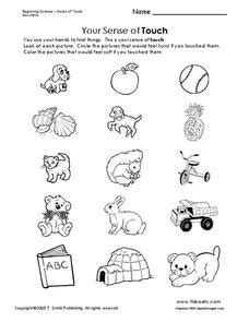 Sense Of Touch Worksheets For Preschoolers