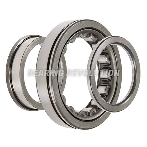 NUP 310 N Bearing Revolution