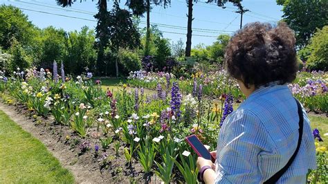 Oregon Travel: Visiting Schreiner's Iris Gardens - Pechluck's Food Adventures