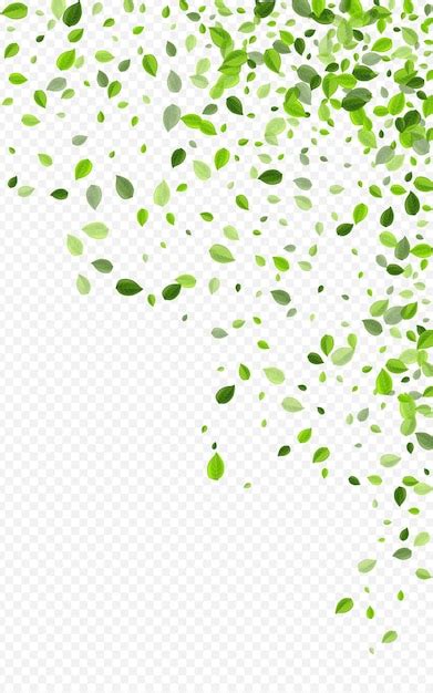 Premium Vector Forest Leaves Motion Vector Transparent Background