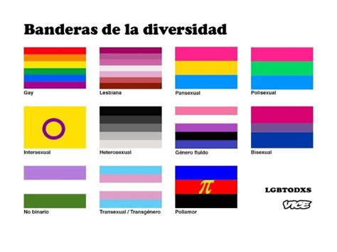 Orgullo Gay 2020 Conoce El Significado De Cada Bandera Lgbt La