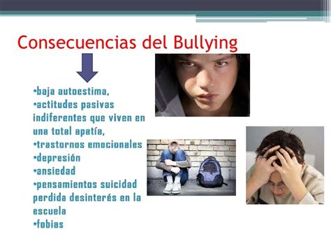 Causas Del Bullying