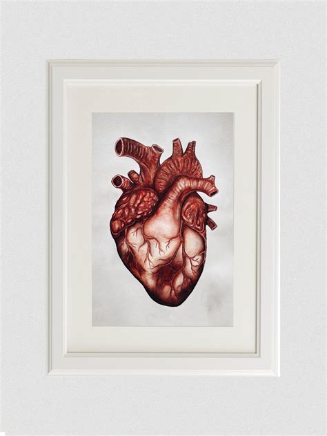 Human Heart Anatomy Painting: Anatomical Original Artwork Red | Etsy