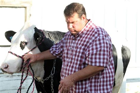 Beef Cattle Judging Understanding Breeds And Age Classifications