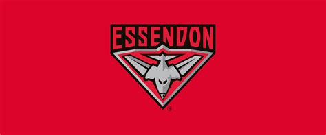 Essendon logo - TheresaRudhi