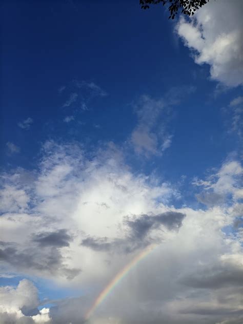 Vertical Rainbow Sky Photo Motosha Free Stock Photos