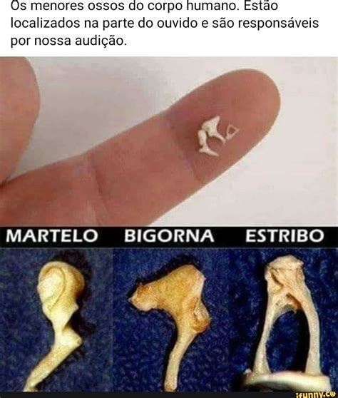 Martelo Bigorna E Estribo Fdplearn