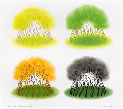 David Nash, Ash Dome – Four Seasons, 2022 | Cristea Roberts Gallery