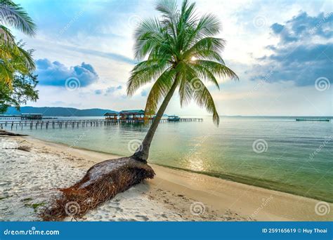 Playa Tropical Con Palmeras En Una Hermosa Playa De Arena En Phu Quoc