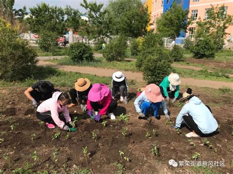 【党员志愿服务】繁荣街道新风社区：党员义务种花 扮靓社区环境