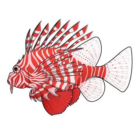 Venomous fish Stock Vectors, Royalty Free Venomous fish Illustrations | Depositphotos®