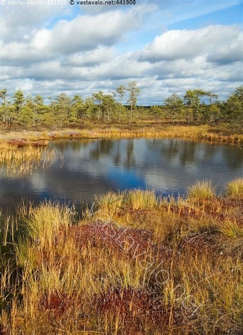 Kuva Valkmusan Kansallispuisto Suo Suomaisema Maisema Keidassuo