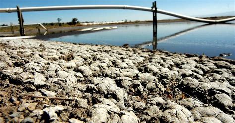 Clausuran Planta De Granjas Carroll Acusada De Contaminar El Agua En