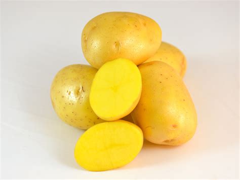 Yellow Potato Varieties