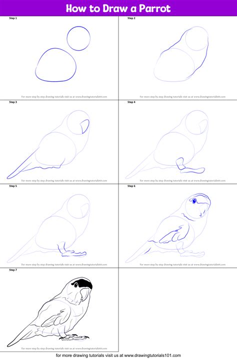 How To Draw A Parrot Step By Step Easy Start by drawing the eye of your ...