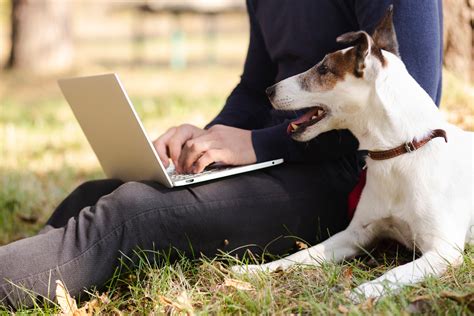 Les Races De Chien Qui Ont Inspir Des Uvres Litt Raires