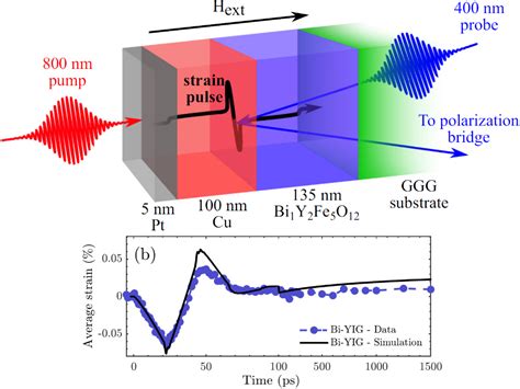 Ultrafast Magnetism Research Ultrafast Dynamics In Condensed Matter