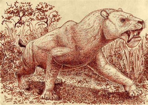 Machairodus Yourdinosaurs