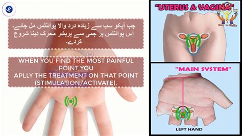 Acupressure Therapy Points For Uterus Vagina Sujok Therapy For