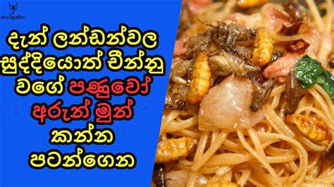 ලන්ඩන්වල පොෂ් කෙල්ලොත් දැන් පණුවෝ කන්න පුරුදු වෙලා Youtube