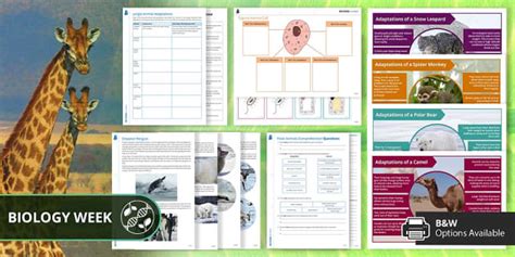 Ks3 Biology Week Resource Pack Teacher Made Twinkl