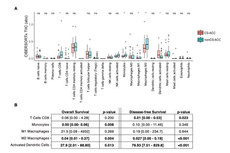 Differential Tumor Immune Cell Infiltration By Cortisol Secretion