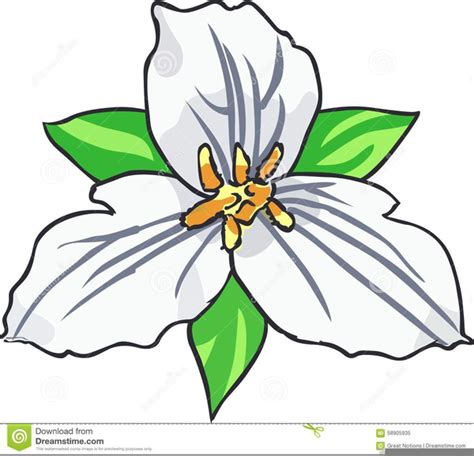 Trillium Flower Clipart Free Images At Clker Vector Clip Art