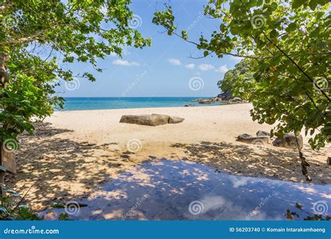 Khao Lak National Park stock photo. Image of beach, climate - 56203740