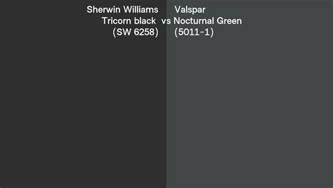 Sherwin Williams Tricorn Black Sw 6258 Vs Valspar Nocturnal Green 5011 1 Side By Side Comparison