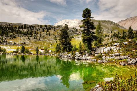 árboles y césped cubierto de tierra y lago durante el día dolomitas