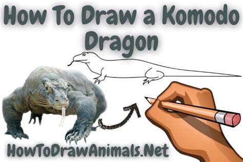 How To Draw A Komodo Dragon Easy