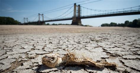 Las Olas De Calor Se Han Convertido En Una Amenaza Mortal En El Planeta