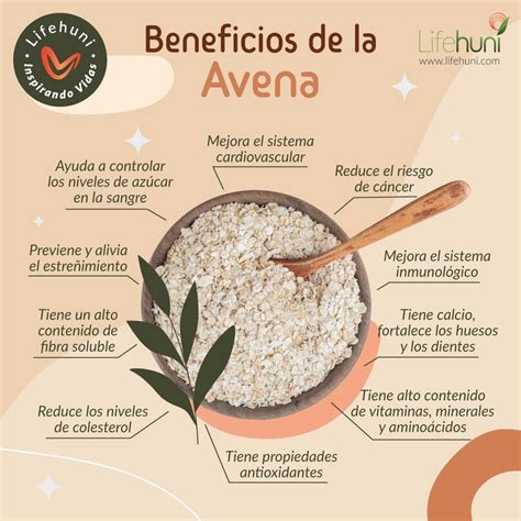 Beneficios De La Avena Regula Peso