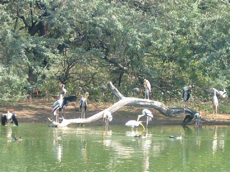 National Zoological Park - Places To Visit In Delhi