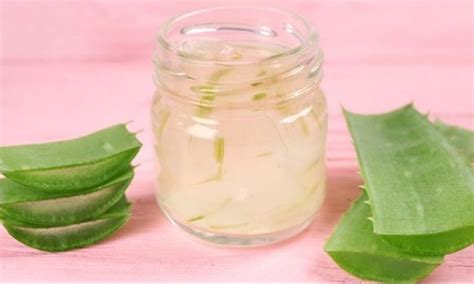 Los M Ltiples Usos Del Gel De Aloe Vera Nexofin