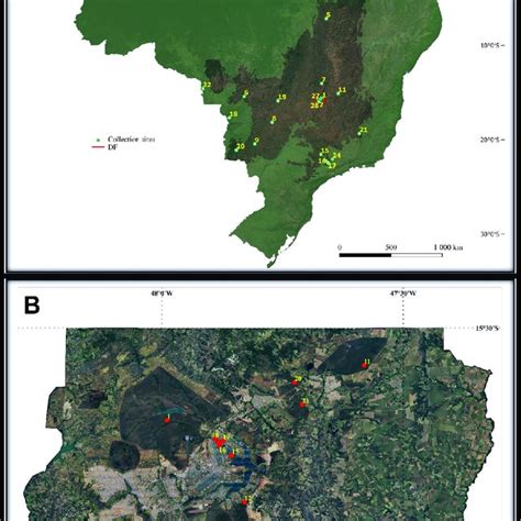 Collection sites in the Brazilian Cerrado (top map), and a detailed ...